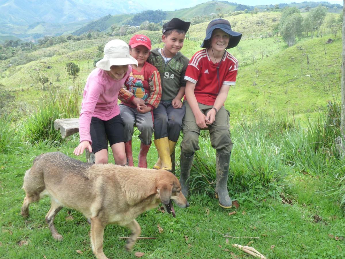 Patricia And Ned'S Cloud Forest Farm Cotacachi Buitenkant foto