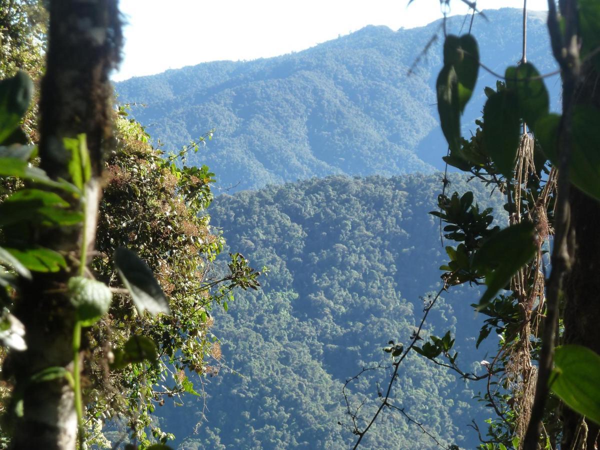 Patricia And Ned'S Cloud Forest Farm Cotacachi Buitenkant foto