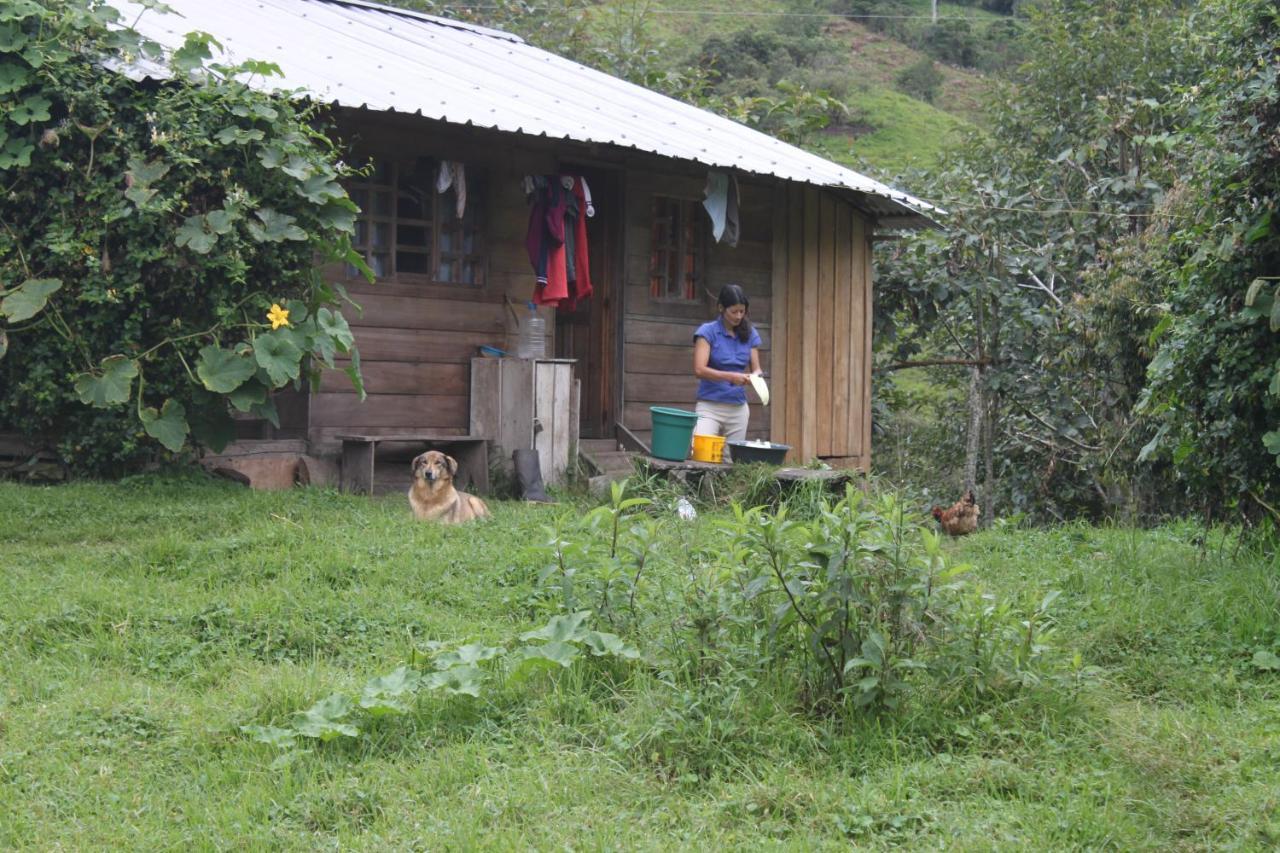 Patricia And Ned'S Cloud Forest Farm Cotacachi Buitenkant foto