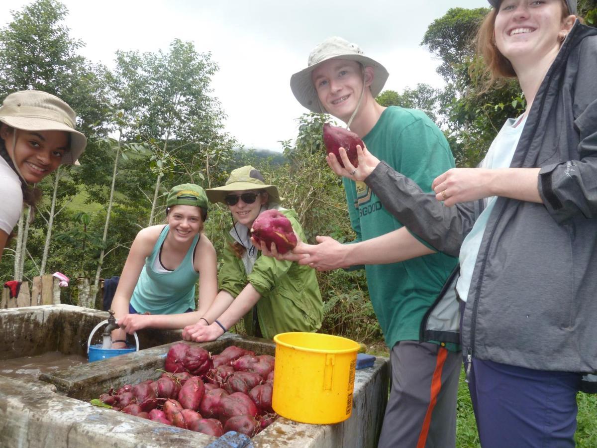 Patricia And Ned'S Cloud Forest Farm Cotacachi Buitenkant foto