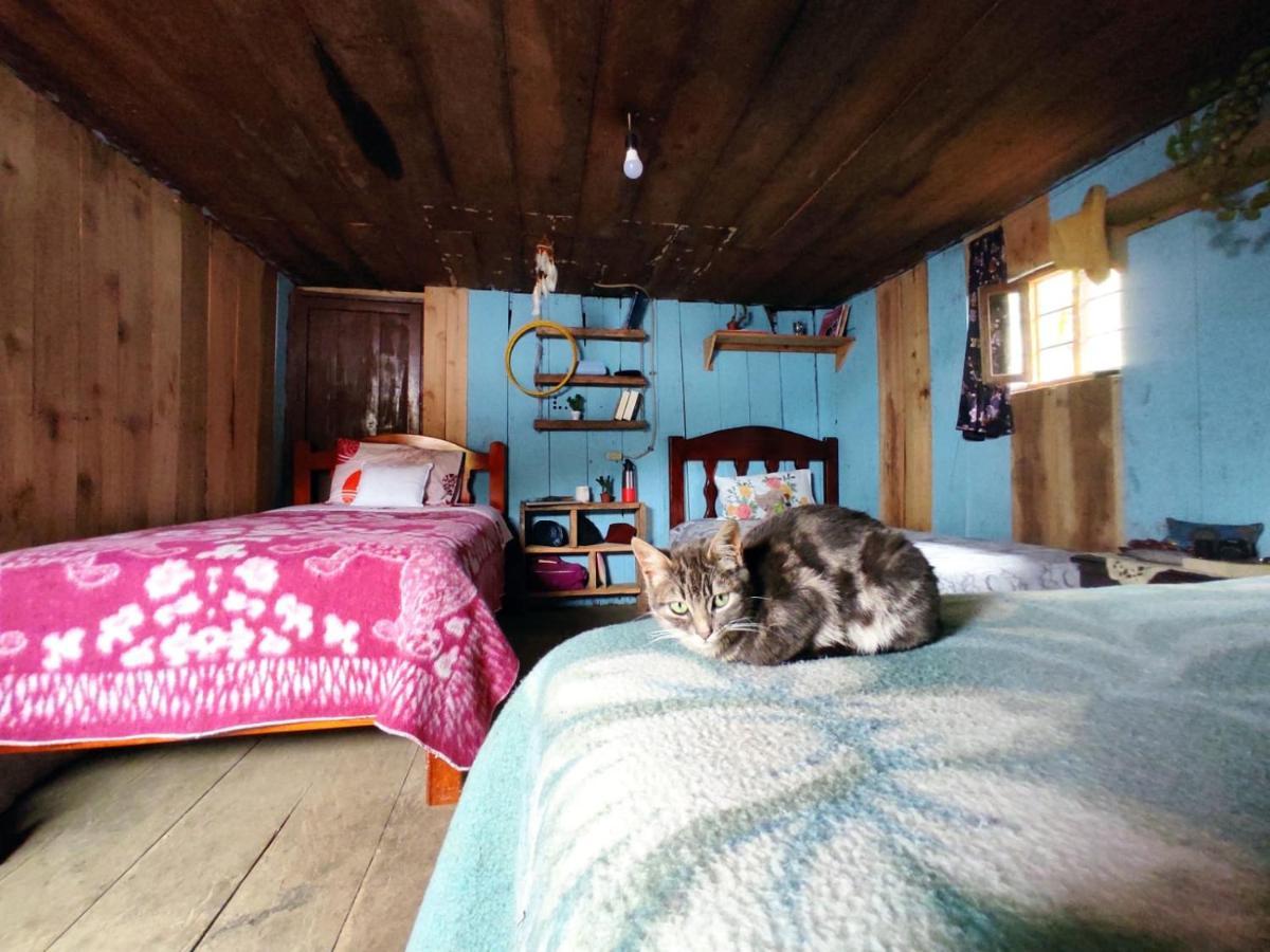 Patricia And Ned'S Cloud Forest Farm Cotacachi Buitenkant foto