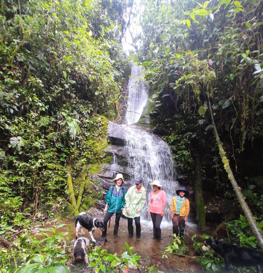Patricia And Ned'S Cloud Forest Farm Cotacachi Buitenkant foto